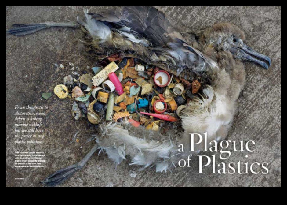 Cum se adaptează peisajele de coastă la provocările poluării cu plastic?