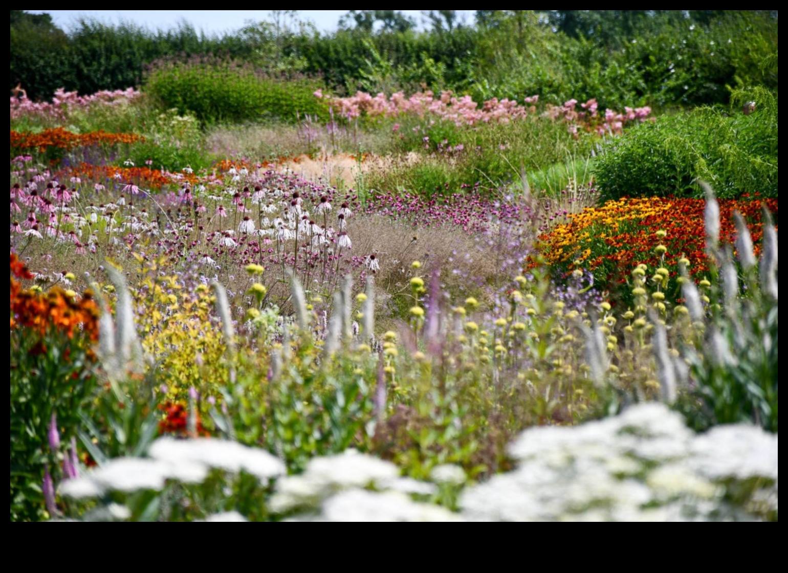 Mai ecologice împreună: cultivarea grădinilor vibrante prin împerechere